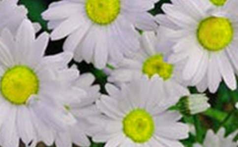 2021�곣�û����������Ӽ���44��