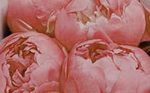 2021�껨���������ӻ��38��