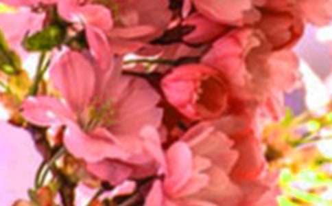 2022��򵥵Ļ�����������ժ¼69��