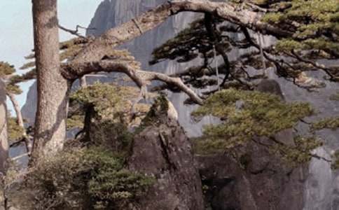 ��ɽд������(����15ƪ)