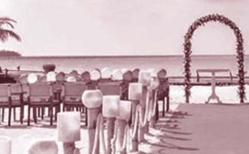 ������ʽ���ִ�