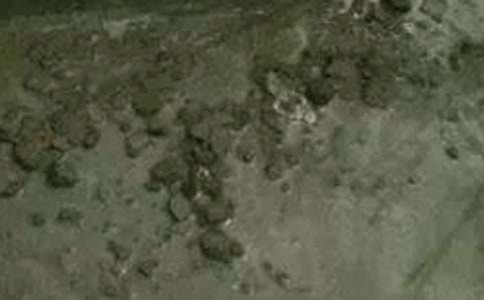 ������������֤��