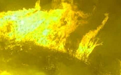 �����ֽ�����