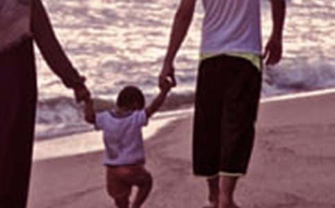 �������׶�԰��ͥ���������ƻ�