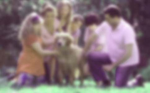 ��ͥ�����ĵ����15ƪ