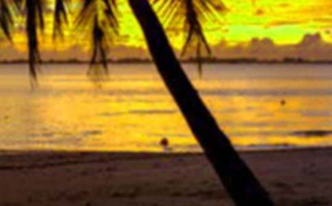 假期安全保证书15篇