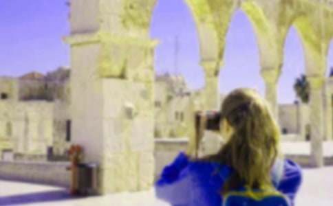 ������ټ��ڽ������ʺϷ�����Ȧ�ľ����ղ�