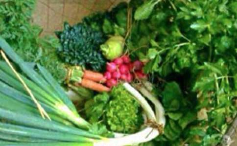 送健康的祝福语