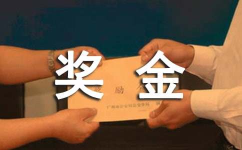 项目奖金激励方案