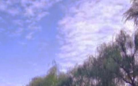 2022�꾰ɫ��������45��