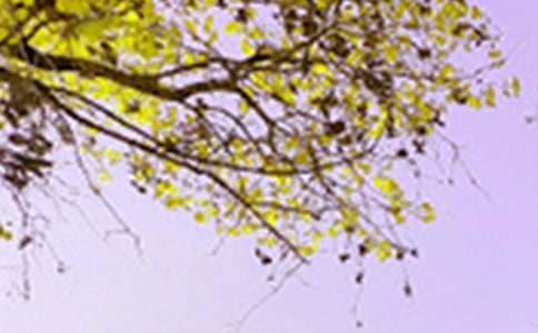 �����㡿��д��ɫ������