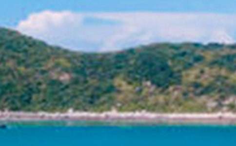 ��д��ɫ����������