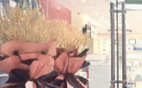 ��ׯ��ҵ����Ȧ�İ���ѡ��3ƪ��