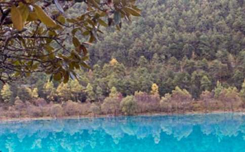 ��������˵˵