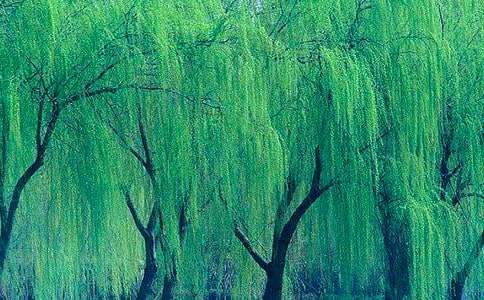 ������ѿ����д��������