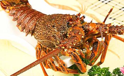 ��������С��Ϻ�óԵľ�������Ȧ��ȫ