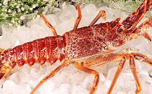 ��С��Ϻ������Ȧ˵˵