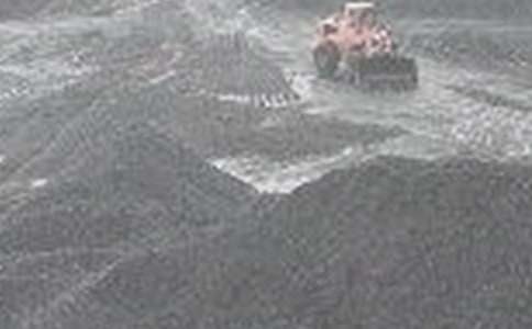 ú���±�֤��