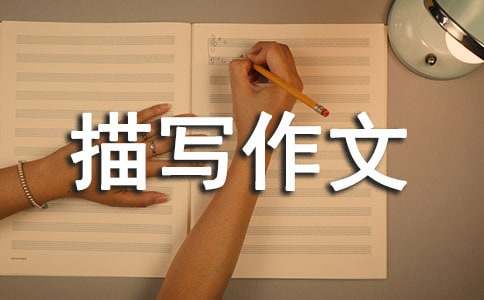 【精品】初三人物描写作文3篇