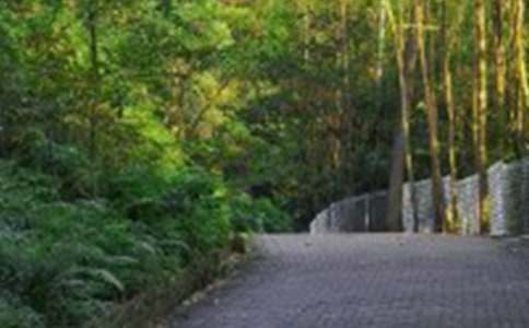 ��ɽ��������