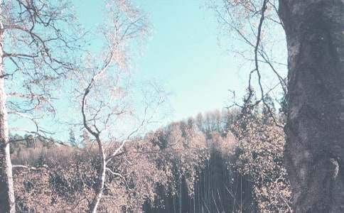 秋季灭鼠工作总结(精选15篇)