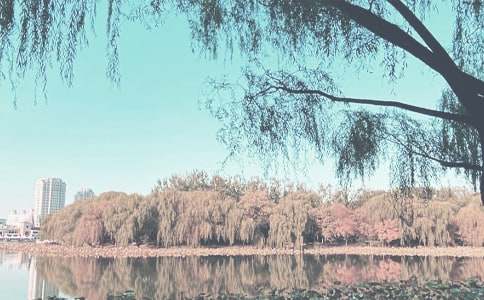 ʵ�õ��＾�����ƻ����Ļ���ƪ