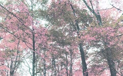 �＾ѧ�ڹ����ܽ� 15ƪ