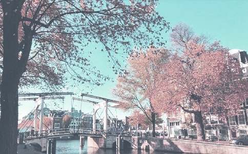 精选秋季工作计划4篇