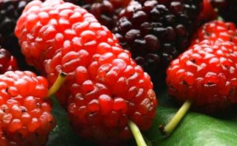 �й�ժɣ�ص���������