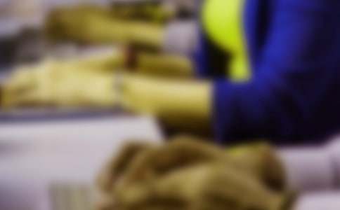 电子商务专业实习总结