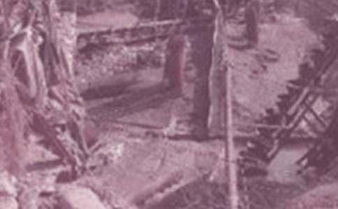 ʯ��ʵϰ��������