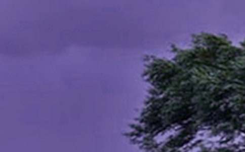 ̨���������˵˵