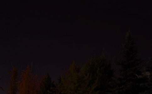 2026�곣��Ψ��������QQ�ʺ���46��