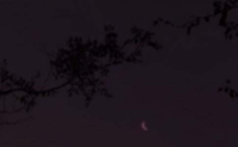 ��ѡΨ��������΢���ʺ���ժ¼45��