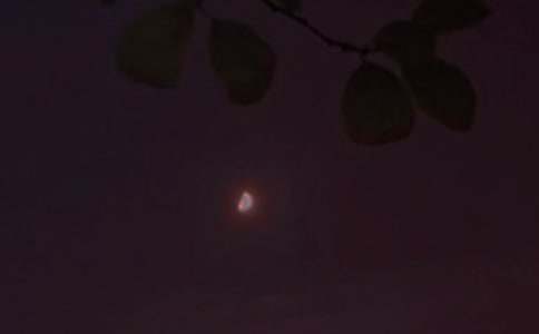 �����š����õ�����QQ�ʺ���47��