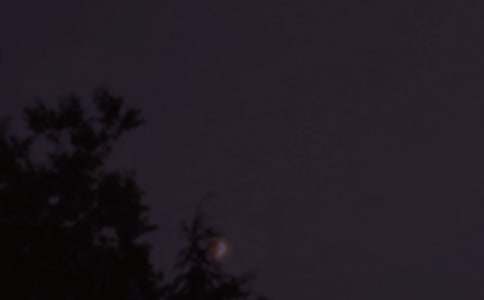 ���ø�������˵˵��ȫ����ѡ65�䣩