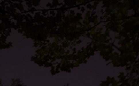 朋友圈晚安鸡汤汇总(精选90句)