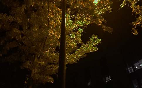 �˸�����˵˵