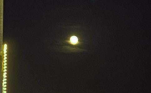 �����š�2024�������ʺ�����81��