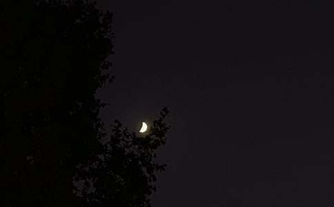 ʵ�õ�ÿ��һ��������������Ȧժ¼32��