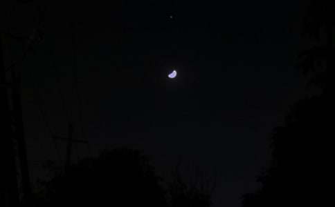 ����΢���ʺ���51��