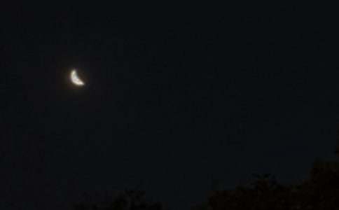 有关优美的晚安QQ问候语76句