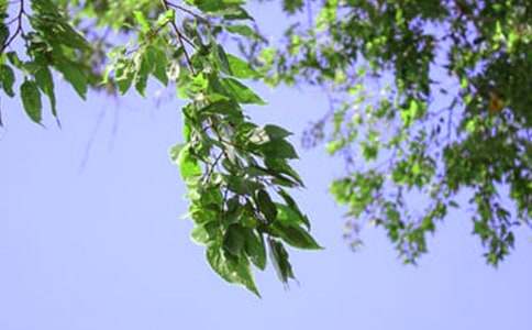 �����簲ǩ����ȫ��ͨ��100�䣩