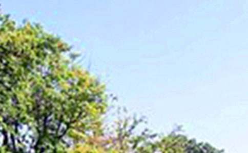 �������簲QQ�ʺ���ժ¼34��