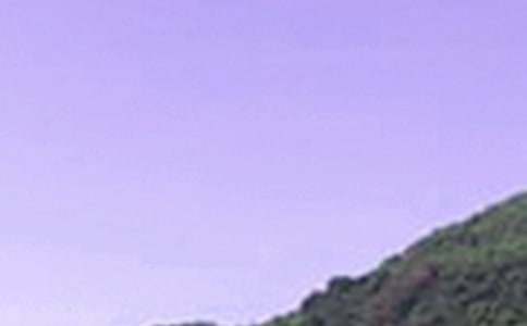 2024���簲�ʺ������41��