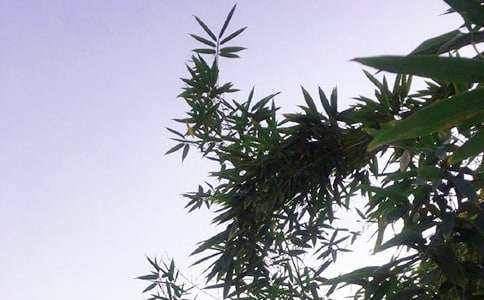 2026����ů���簲�ʺ�����84��