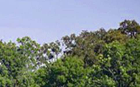 ����ů���簲ף�������100�侫ѡ