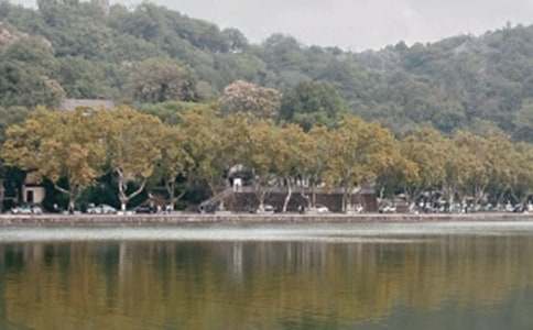 ��д����ҹ������������