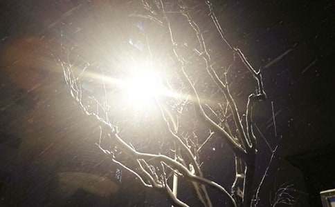 ��ѩ˵˵90��