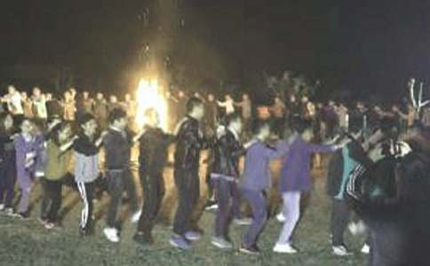 ����Ӫ�Ƽ���(��ѡ15ƪ)